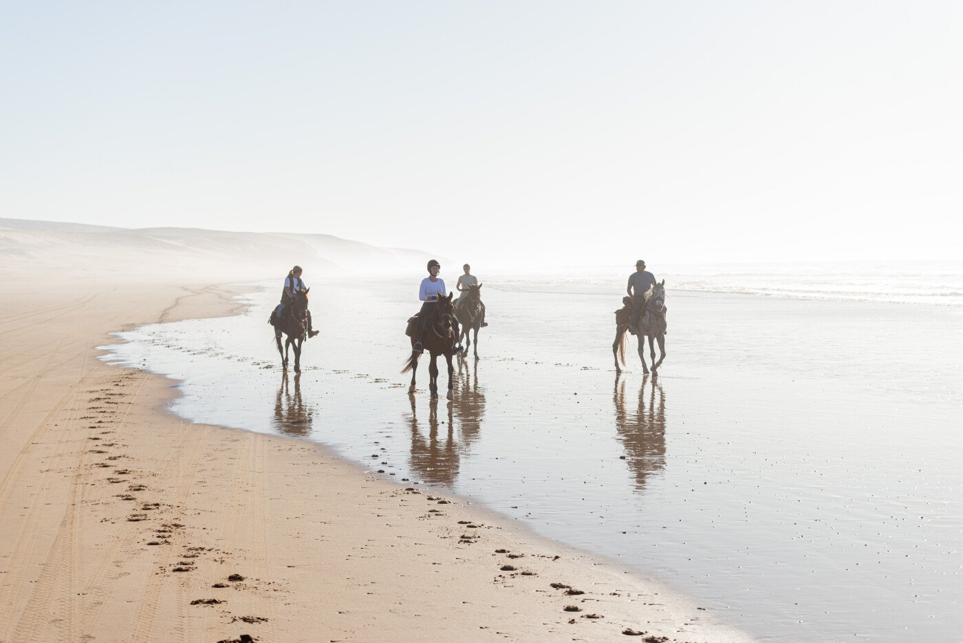 1 day Horse Ride with lunch