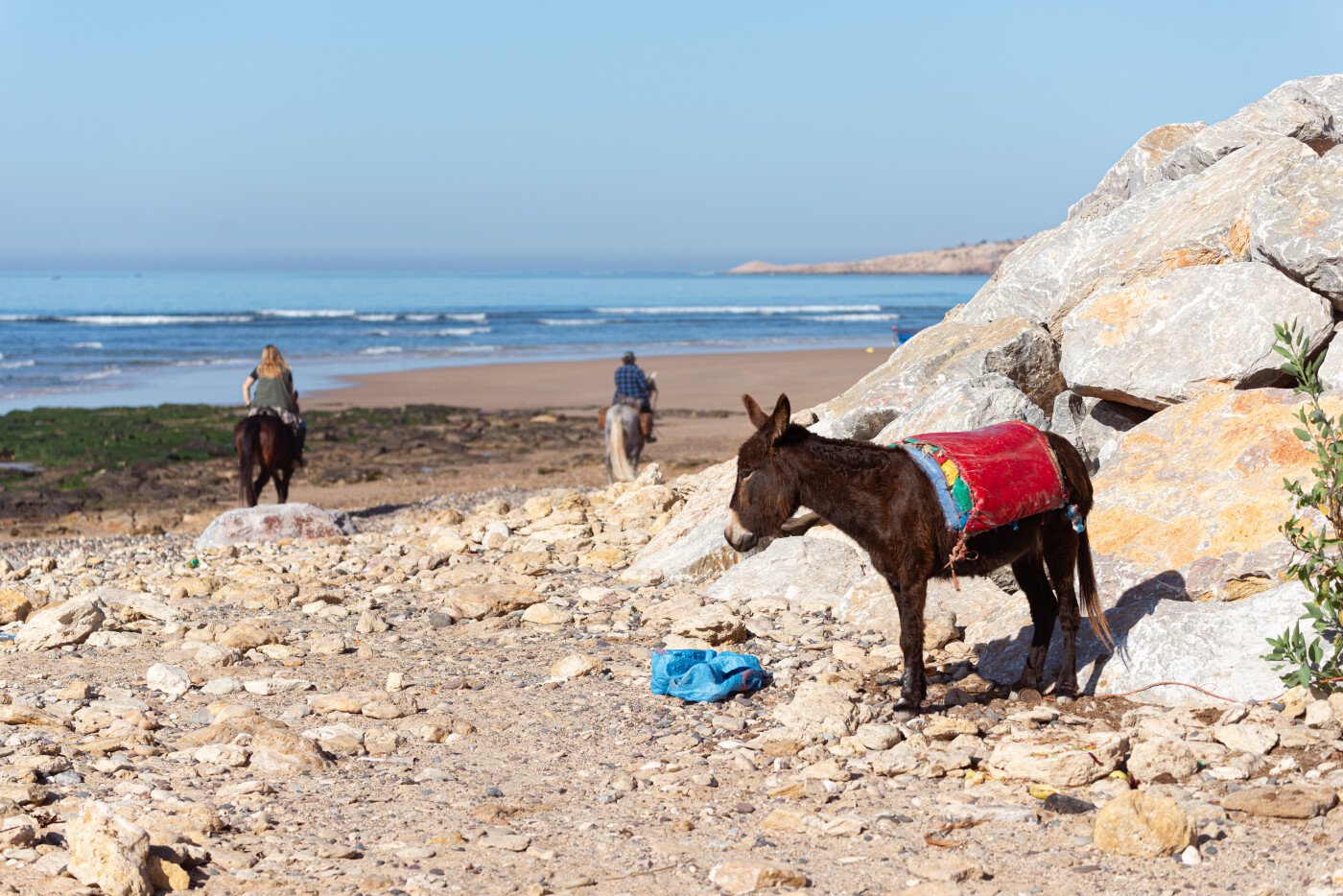 1 day Horse Ride with lunch