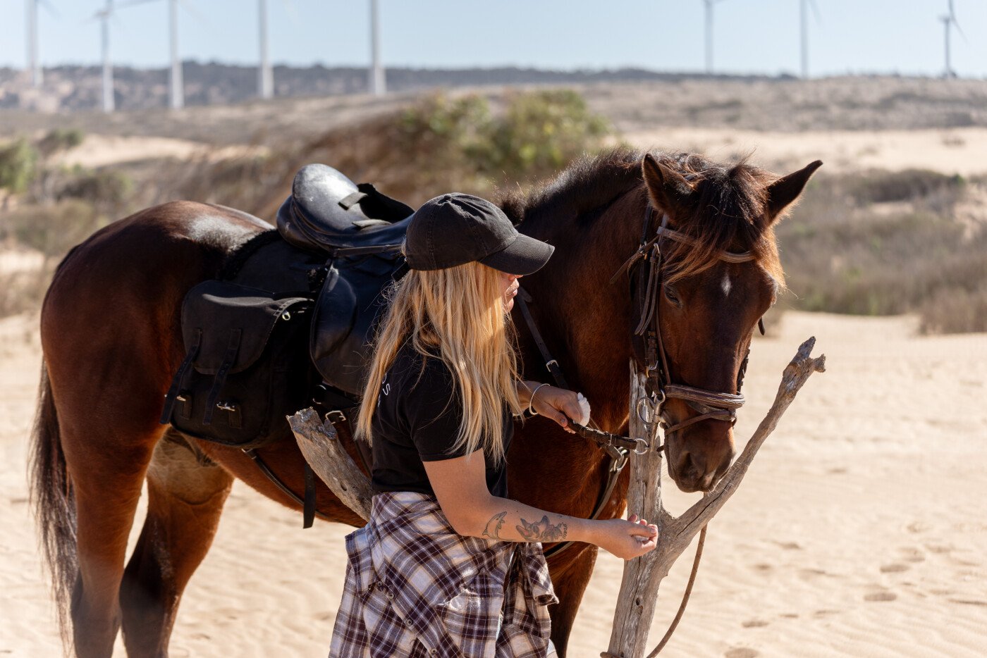 1 day Horse Ride with lunch