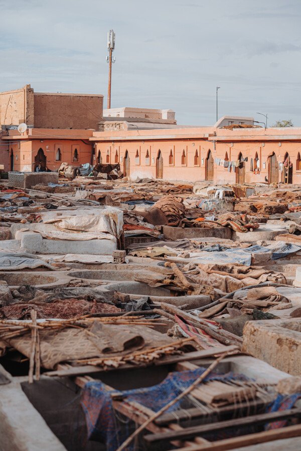 Organiser un voyage au Maroc: les conseils du Ranch de Diabat