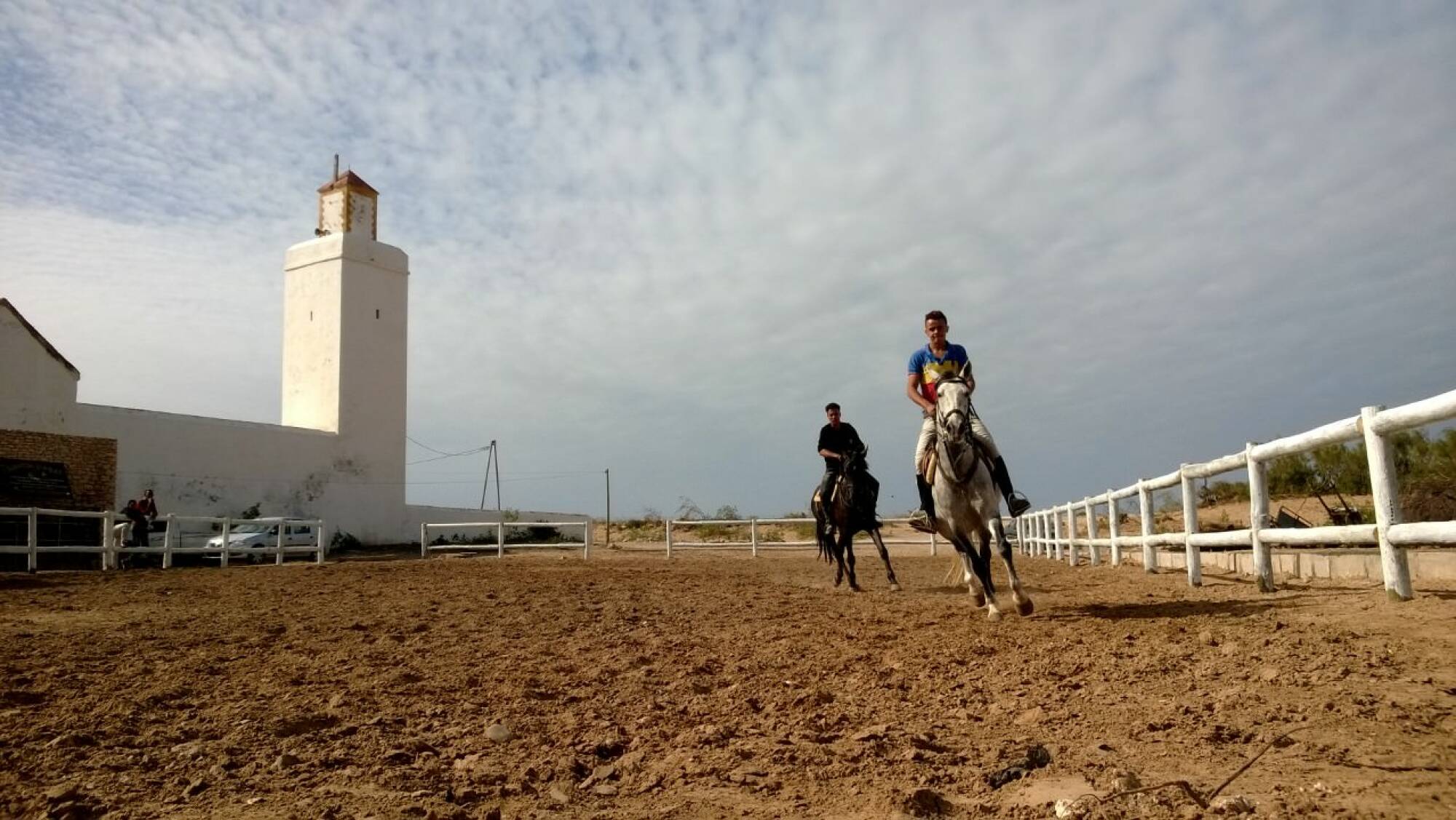 10 Horse Riding Lessons