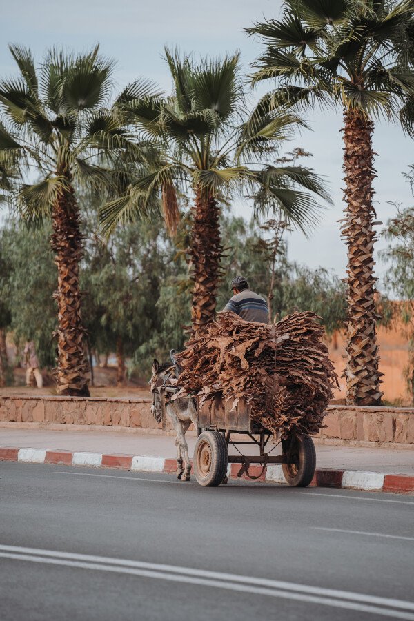 Organiser un voyage au Maroc: les conseils du Ranch de Diabat