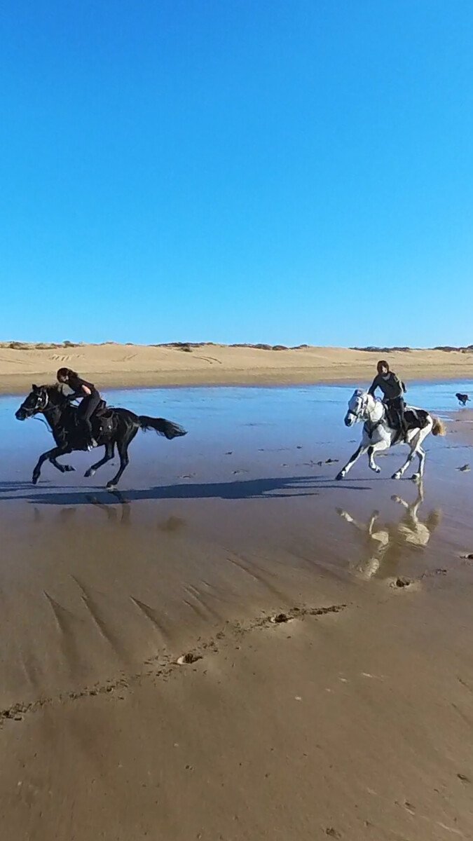 Trek Côte Atlantique