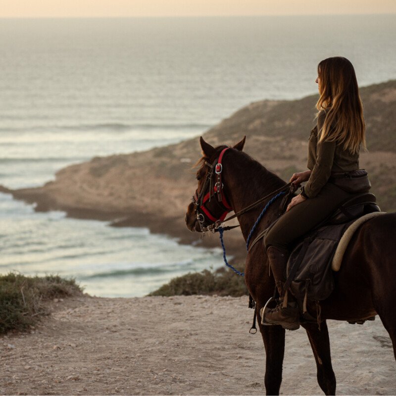 Sustainable equestrian tourism: the ethical choice for those who love horses and nature