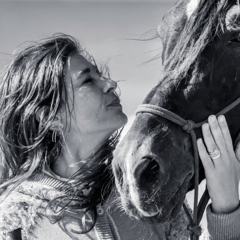 Randonnée à cheval : un voyage qui régénère le corps et reconnecte à la nature