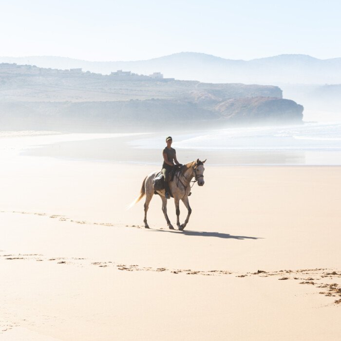 Trekking a cavallo: un viaggio che rigenera il corpo e riconnette con la natura