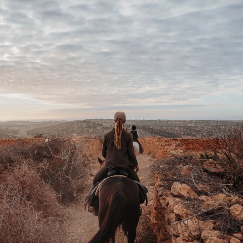 Organizing a point-to-point horseback trek: a team effort