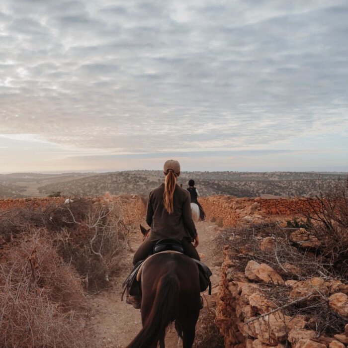 Organizing a point-to-point horseback trek: a team effort