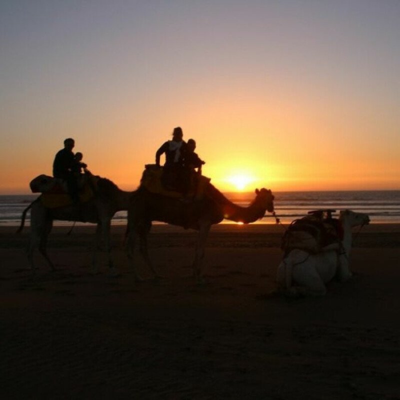Essaouira with kids: 7 summer experiences to enjoy as a family