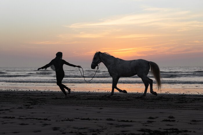 1 Hour Horse Ride