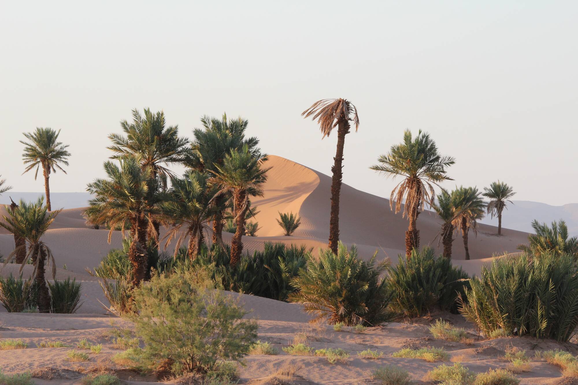 Il Deserto