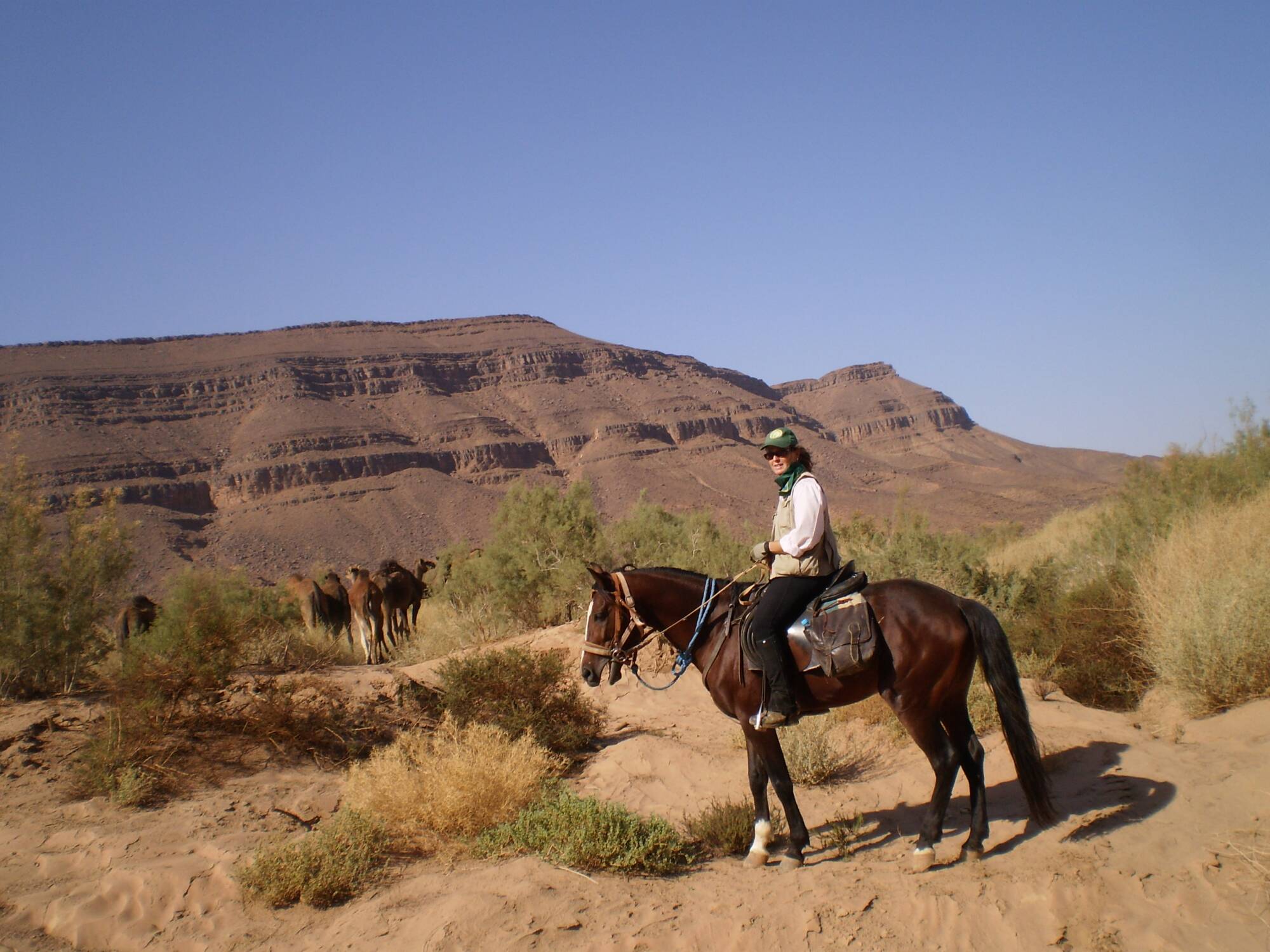 Desert Trail