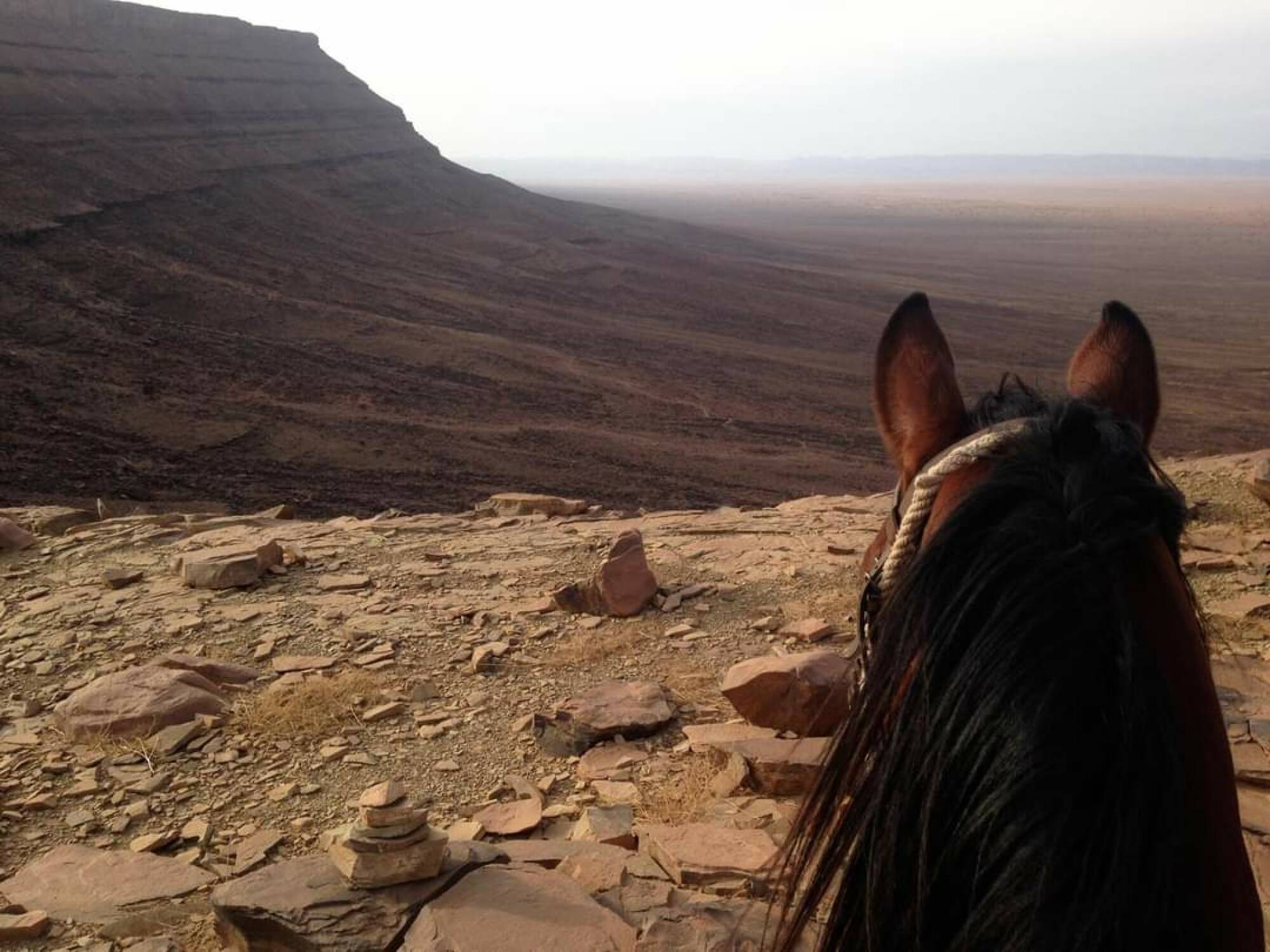 Desert Horse-trekking