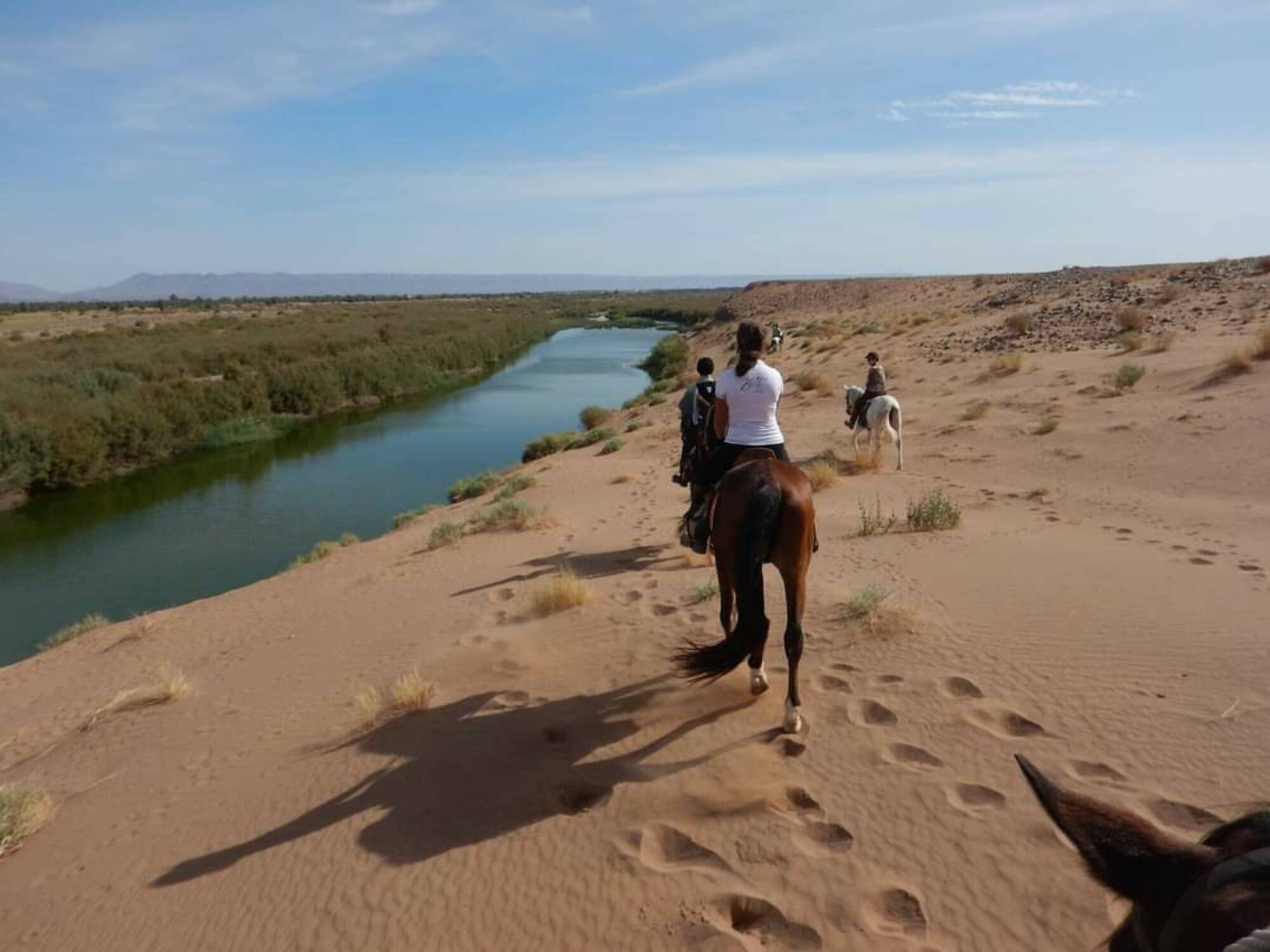 Trekking a cavallo del deserto