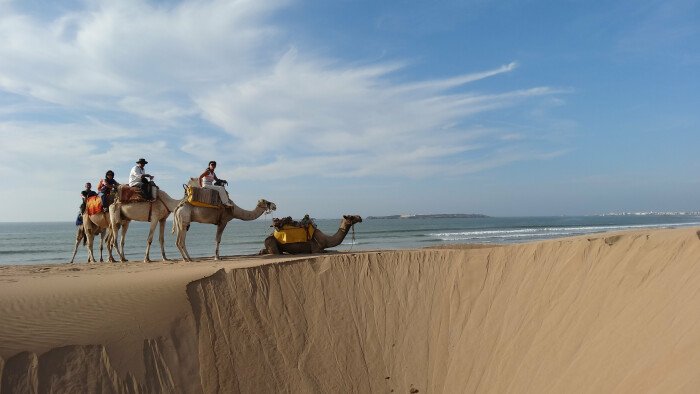 Celebrating Moussem Regraga 2022 in Essaouira