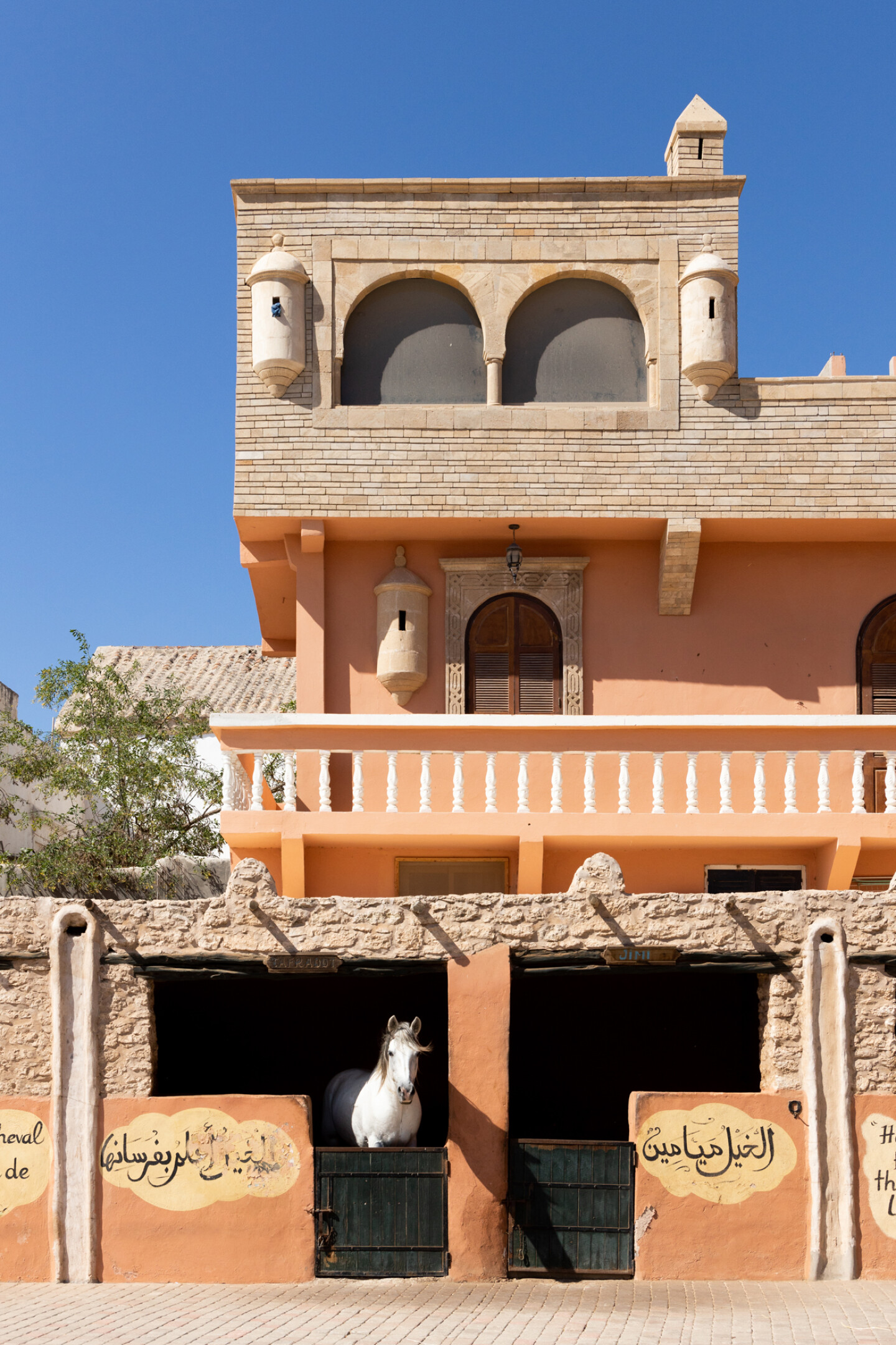 An der Vogelbeobachtung in Essaouira teilnehmen