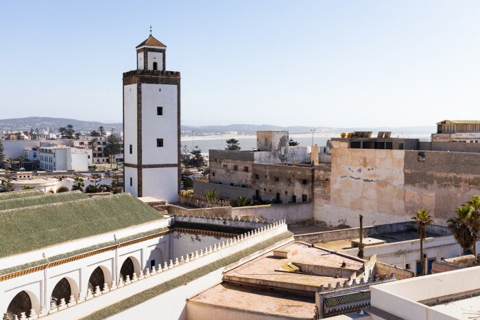 Live the bird watching experience in Essaouira