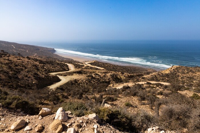 Live the bird watching experience in Essaouira