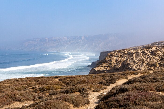 Live the bird watching experience in Essaouira