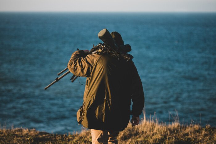 Live the bird watching experience in Essaouira