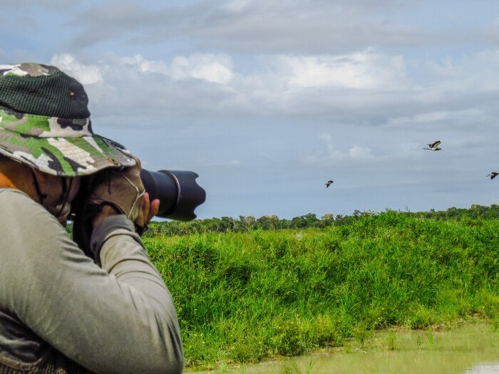 Live the bird watching experience in Essaouira