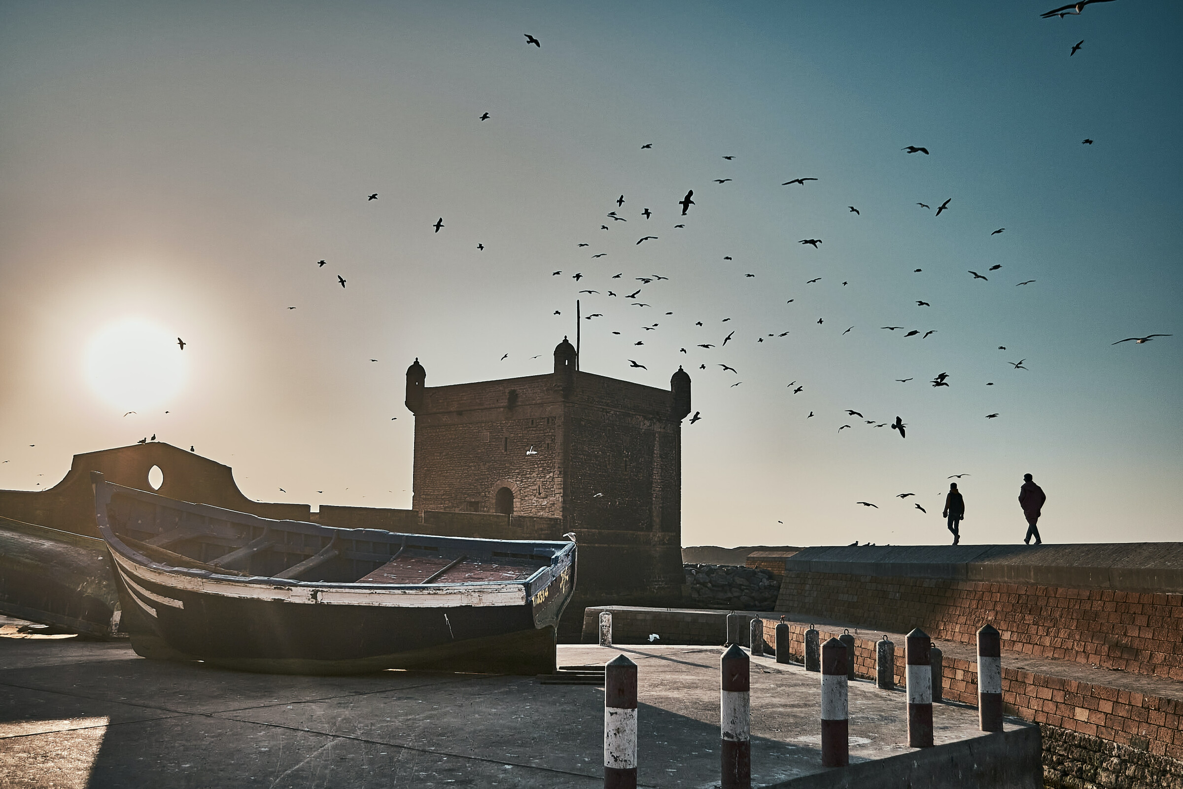An der Vogelbeobachtung in Essaouira teilnehmen