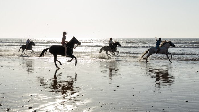 Castelo Real of Mogador: between history and adventure