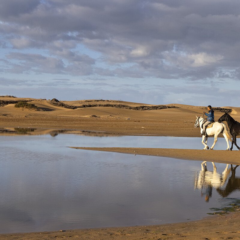 I benefici di una passeggiata a cavallo: trekking nel deserto
