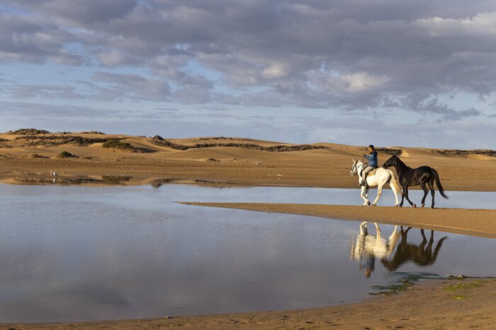 The benefits of a horse ride: trekking in the desert