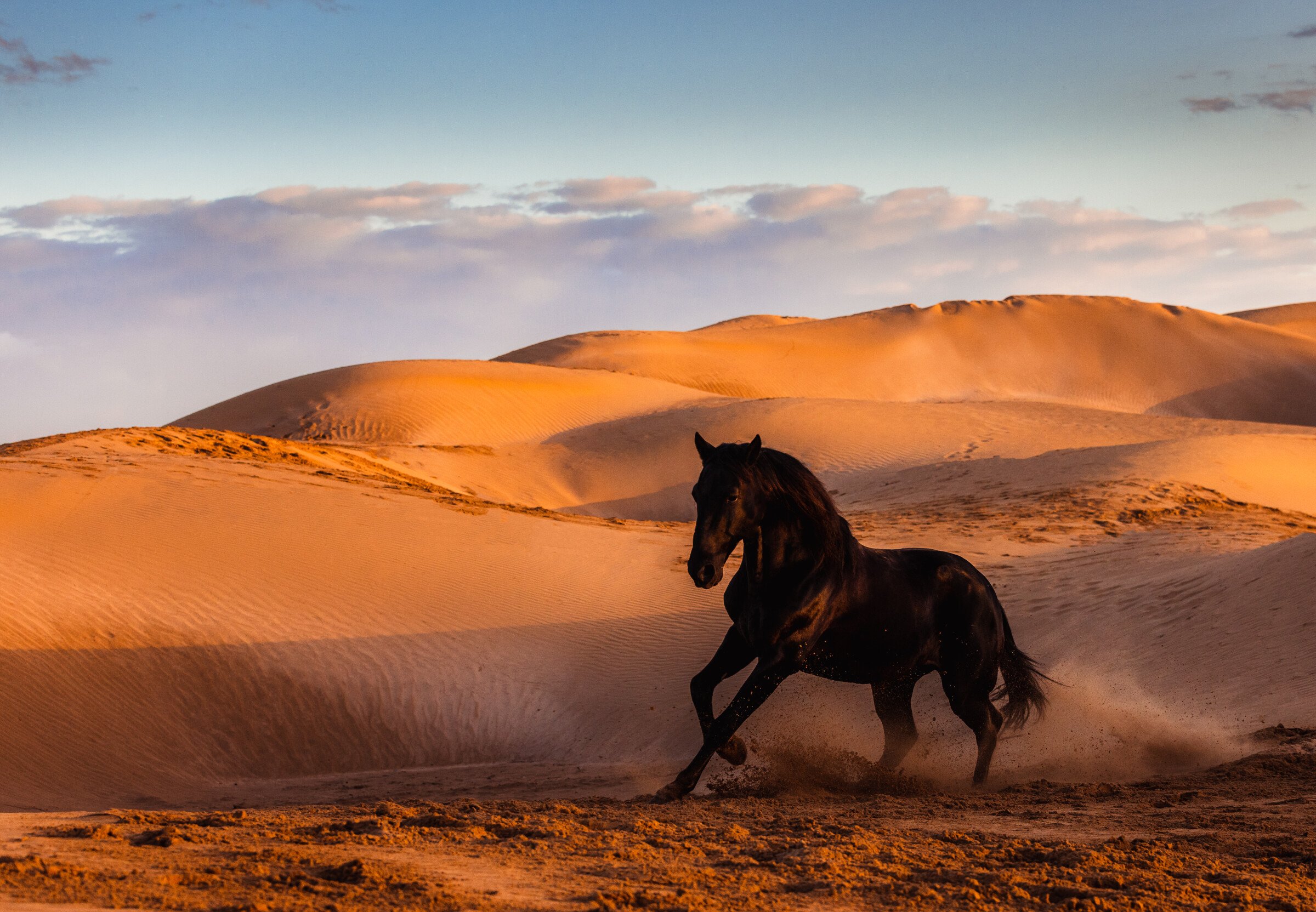 The benefits of a horse ride: trekking in the desert