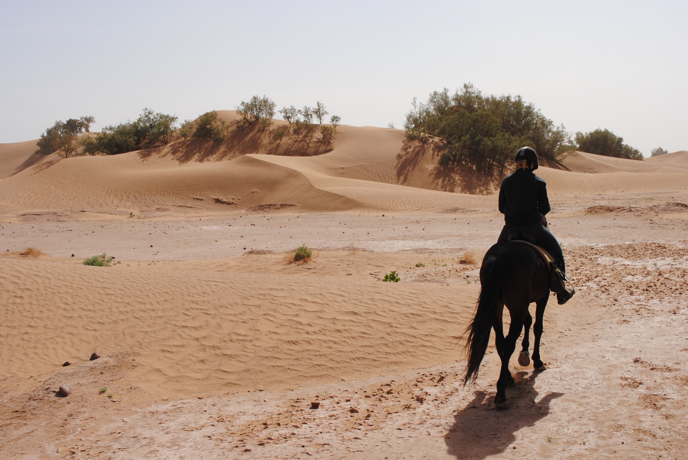 The benefits of a horse ride: trekking in the desert