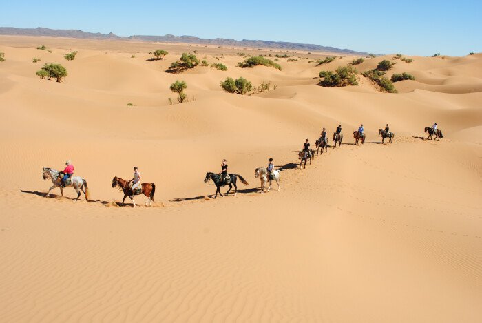 The benefits of a horse ride: trekking in the desert