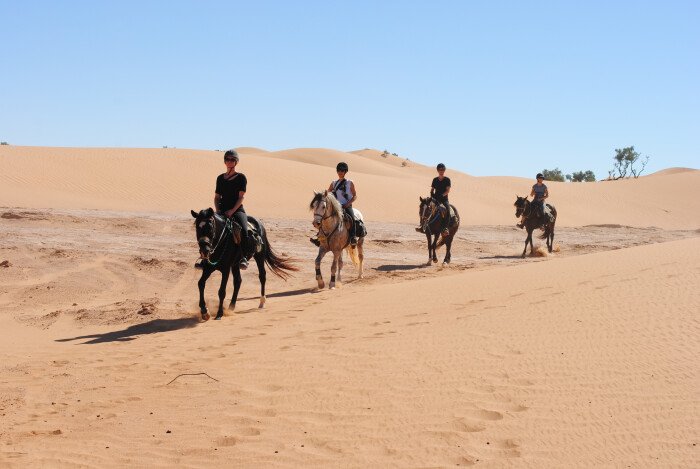 The benefits of a horse ride: trekking in the desert