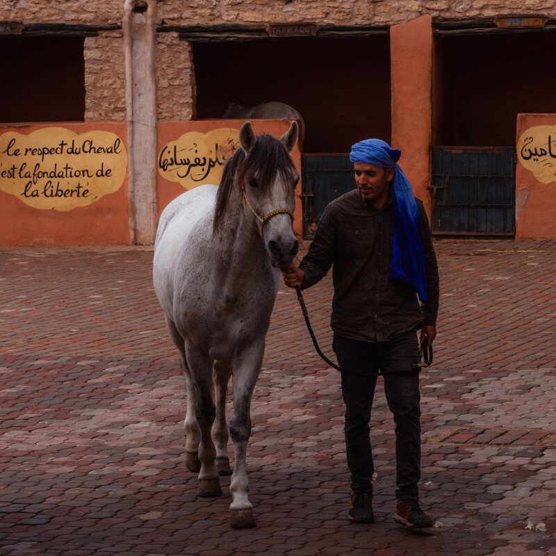 Come prepararsi a un viaggio in Marocco