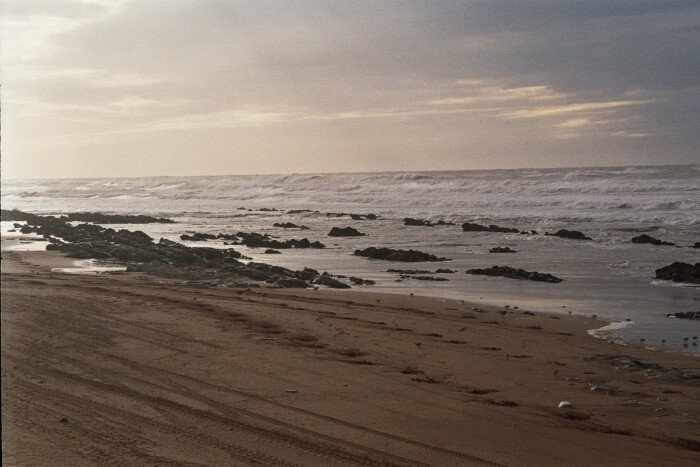 Essaouira and Argan oil