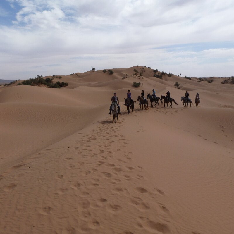 Marokko: Wanderreiten und andere einzigartige Aktivitäten