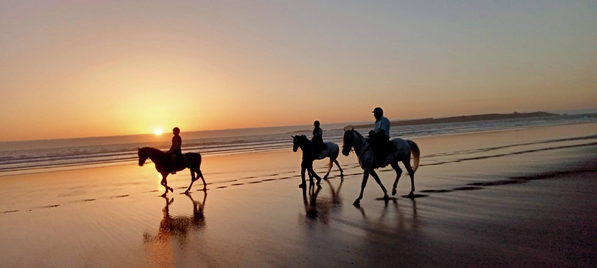 Horse Ride 1h at SUNSET on the BEACH