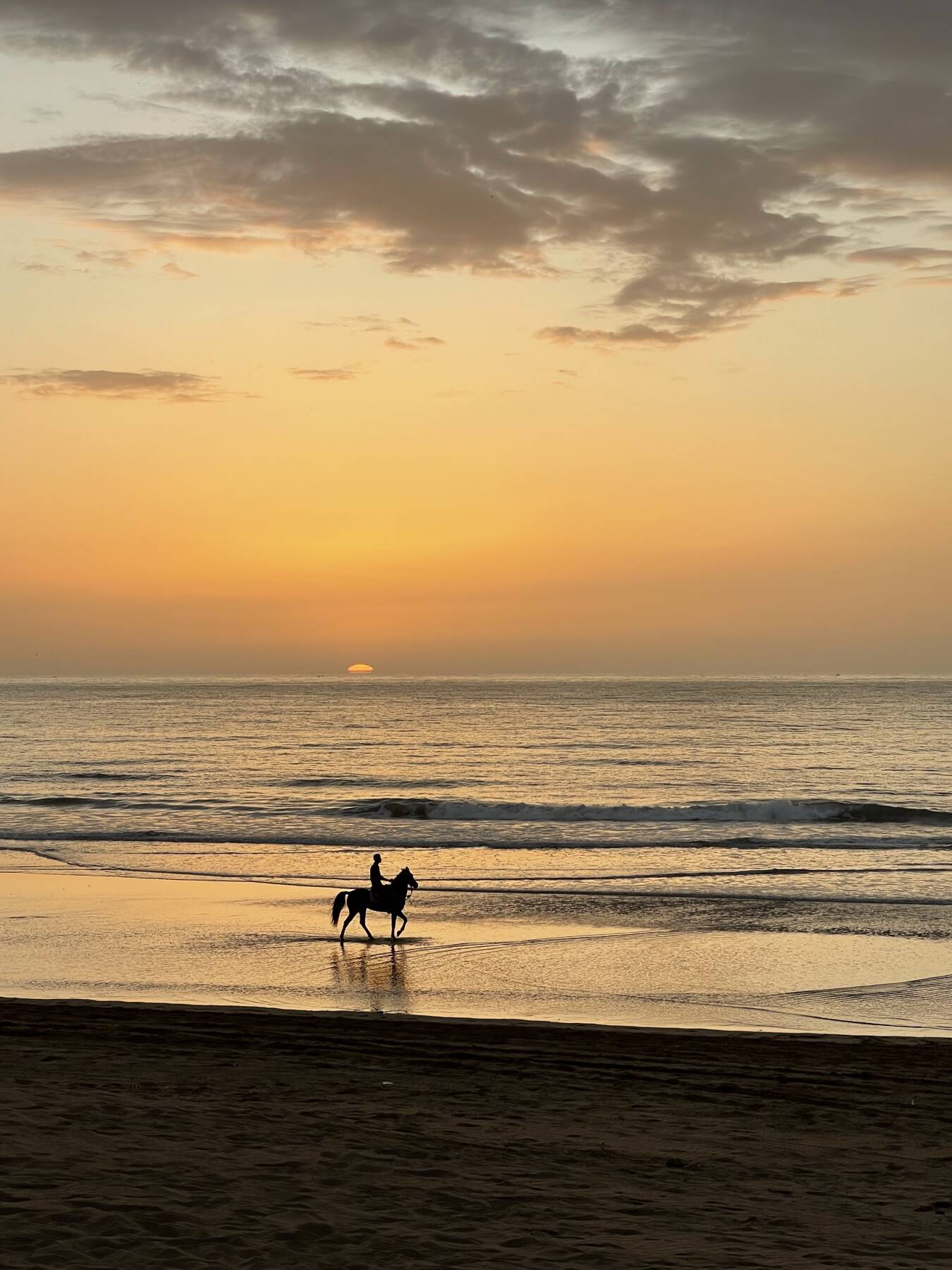 Horse Ride 1h at SUNSET on the BEACH