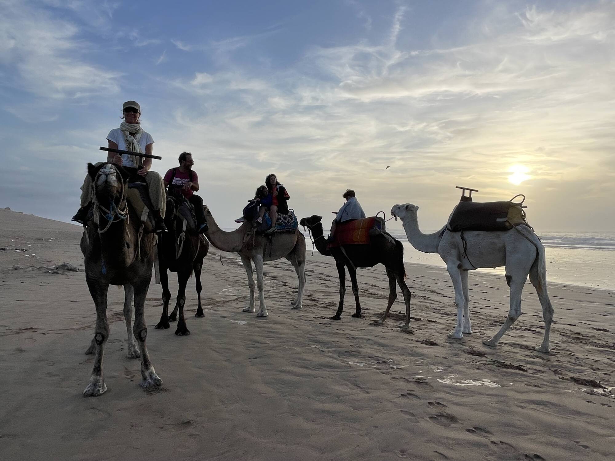 1h Camel Ride on SUNSET
