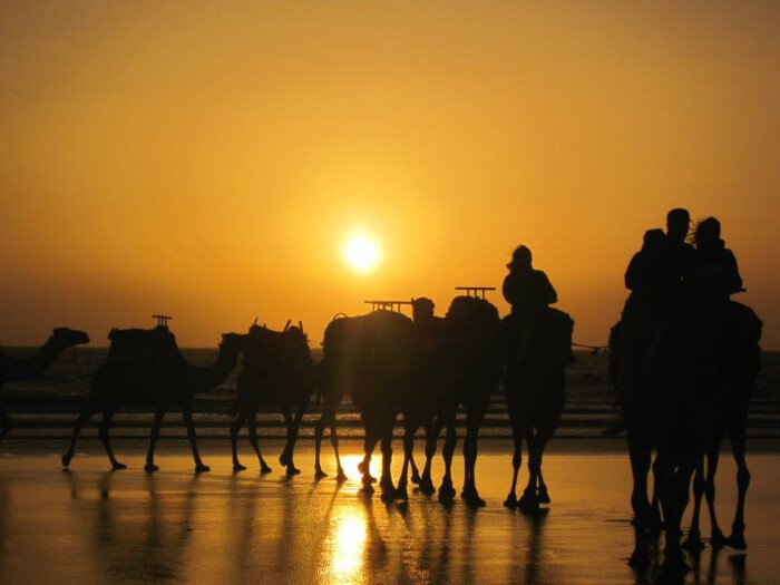 1h Camel Ride on SUNSET