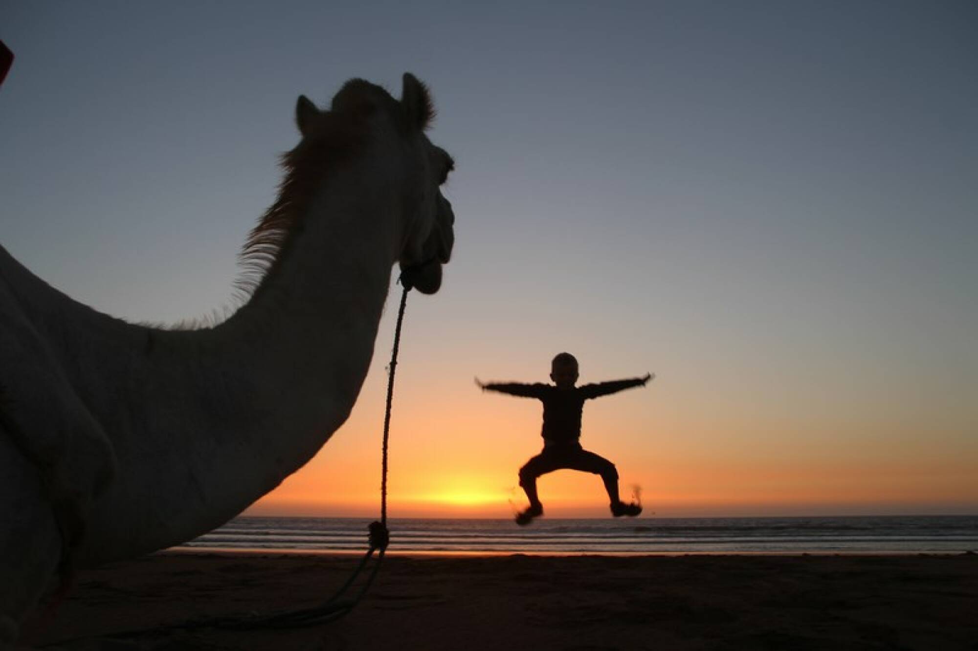 2h Camel Ride at SUNSET
