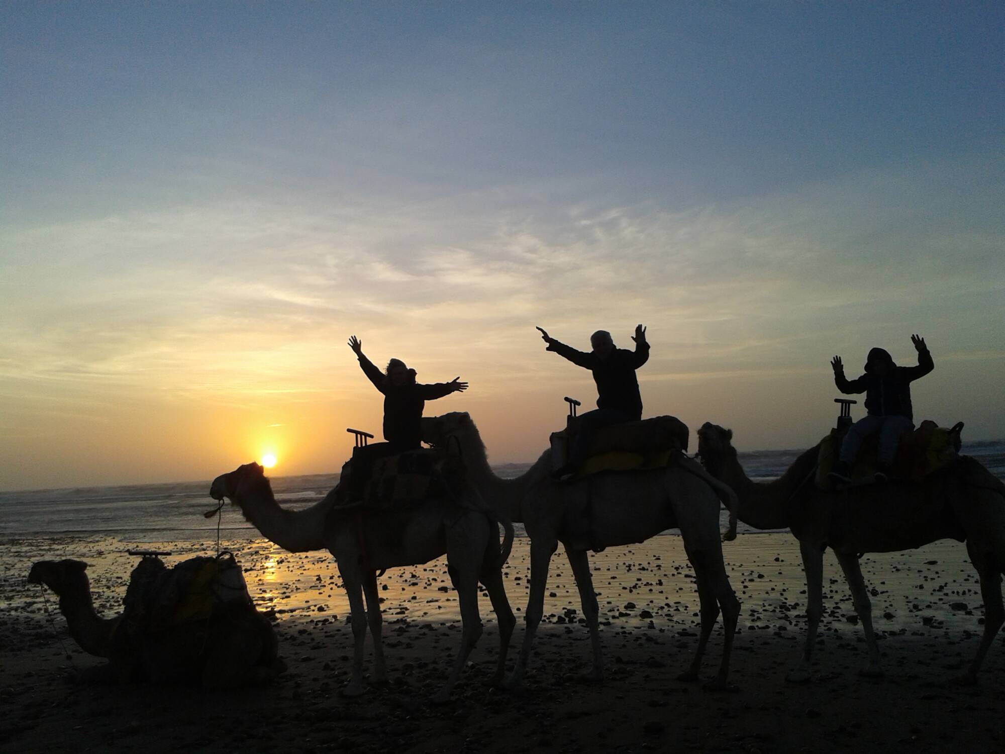 2h Camel Ride at SUNSET