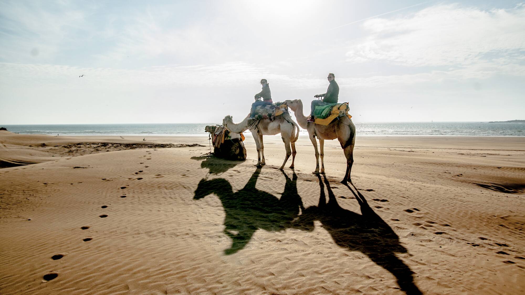 One-day camel ride with lunch
