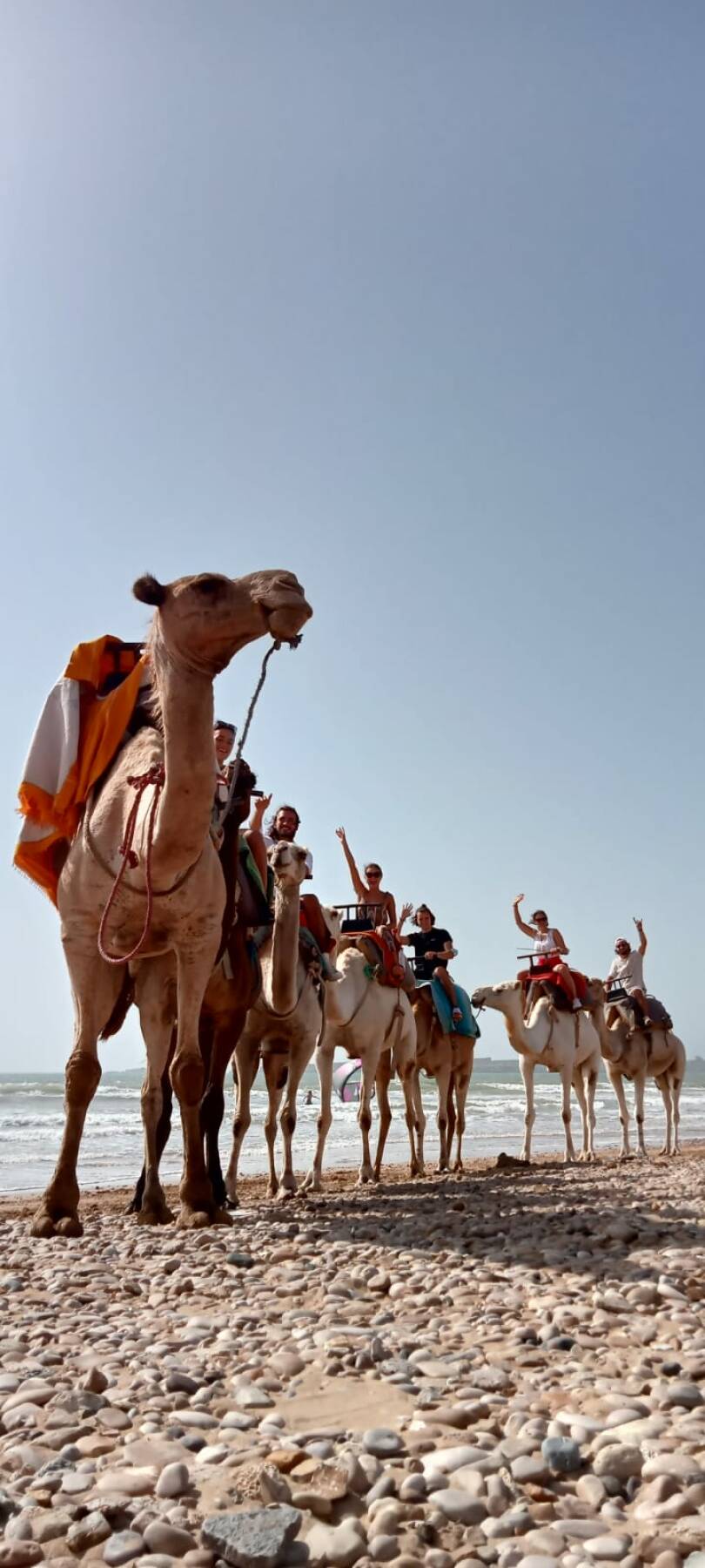 One-day camel ride with lunch