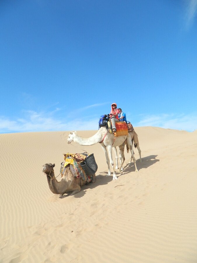 Camel Ride 3h with tea