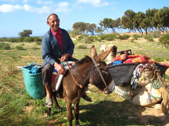 Viaggio per sole donne: Capodanno 2024 in Marocco