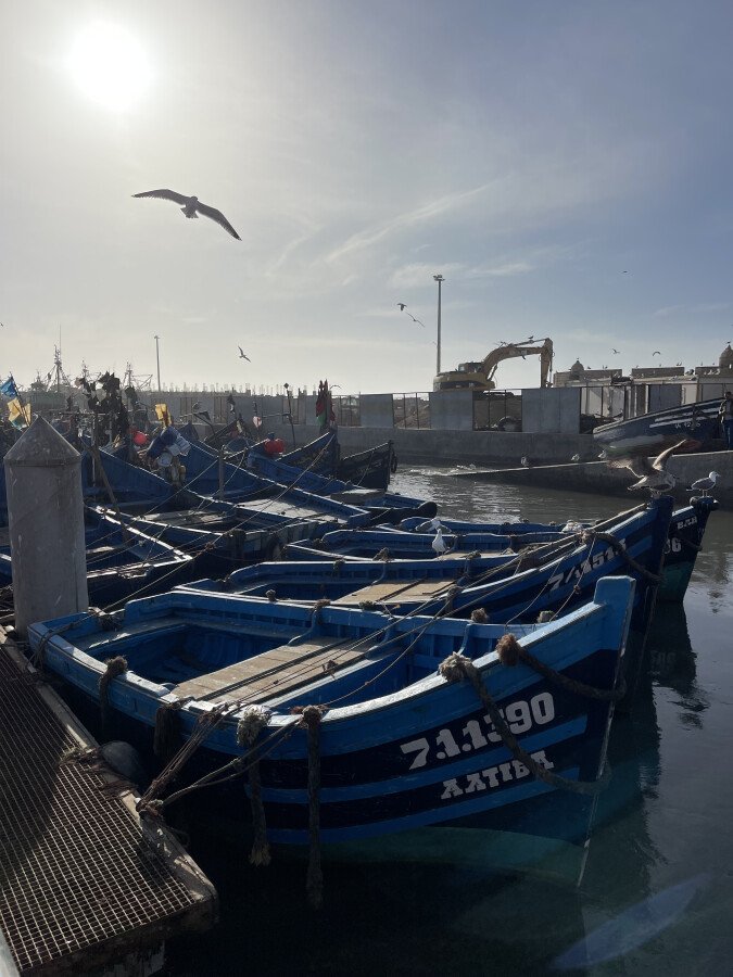 Viaggio per sole donne: Capodanno 2024 in Marocco