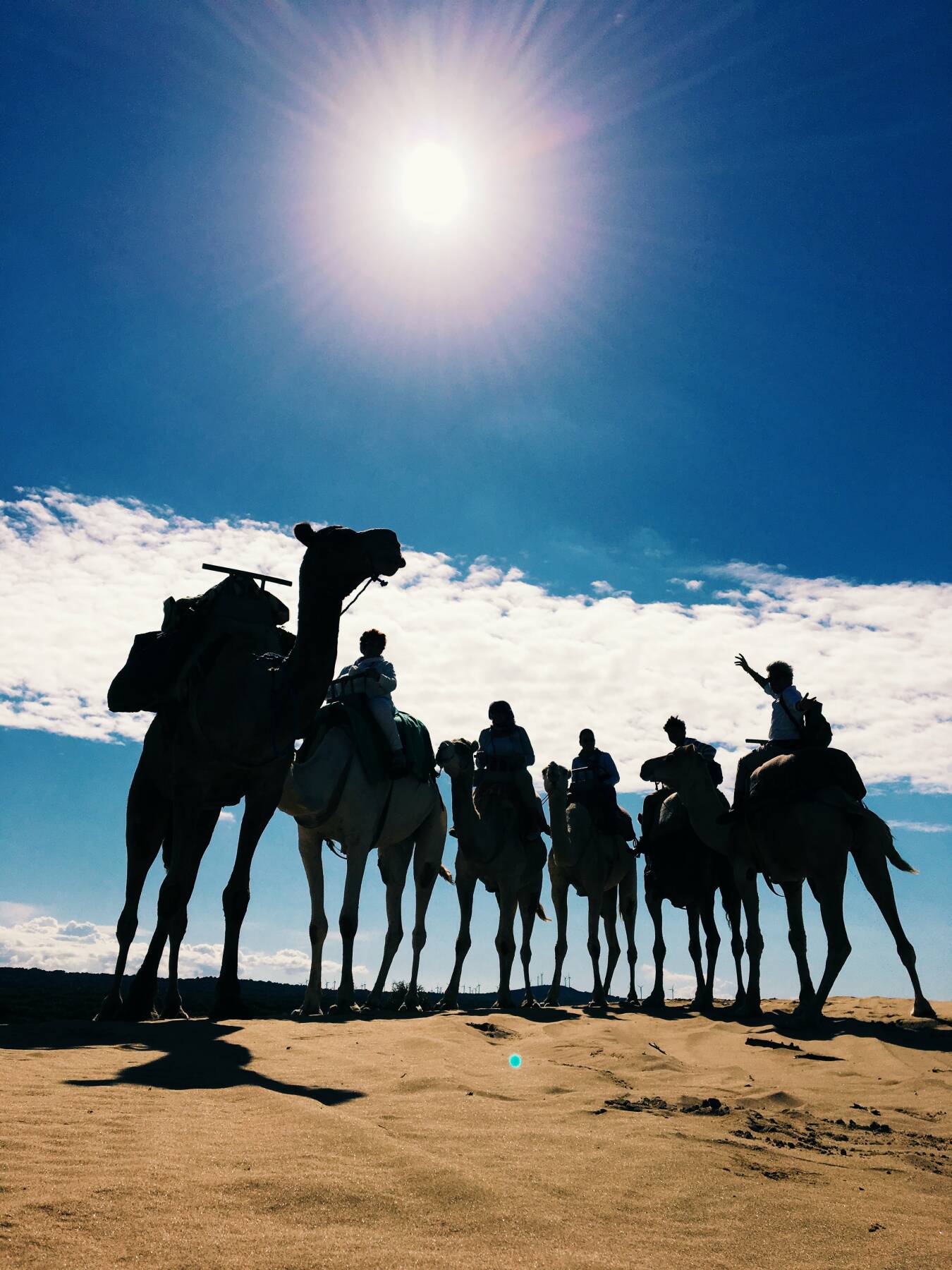 Camel Ride 1h